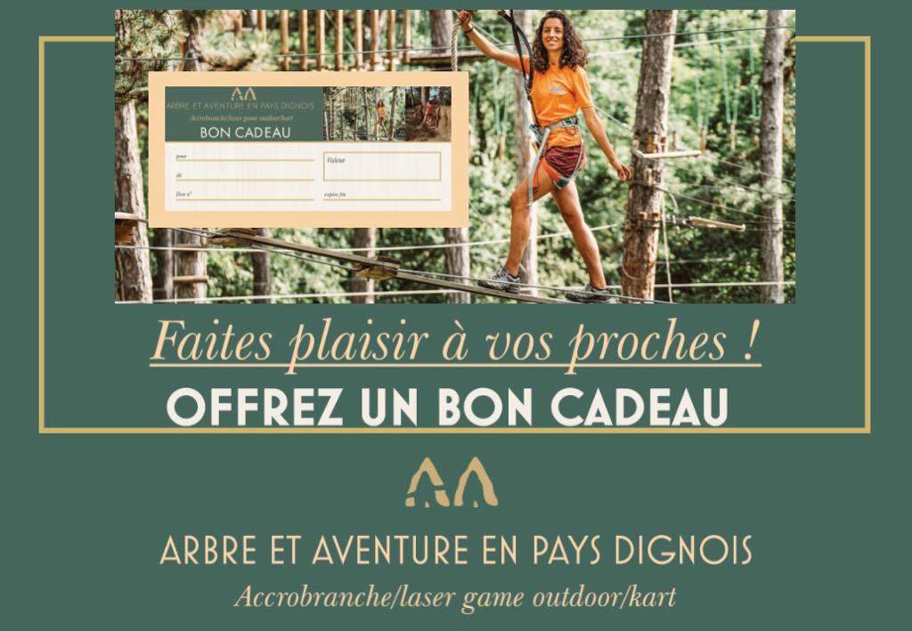 bon cadeau accrobranche digne les bains mallemoisson